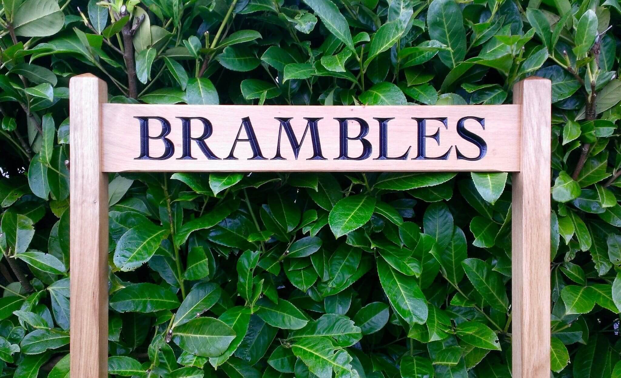 Ladder Sign - Long Thin - 720 x 110mm - Posts 45 x 45 x 915mm - Bramble Signs Engraved Wall Mounted & Freestanding Oak House Signs, Plaques, Nameplates and Wooden Gifts