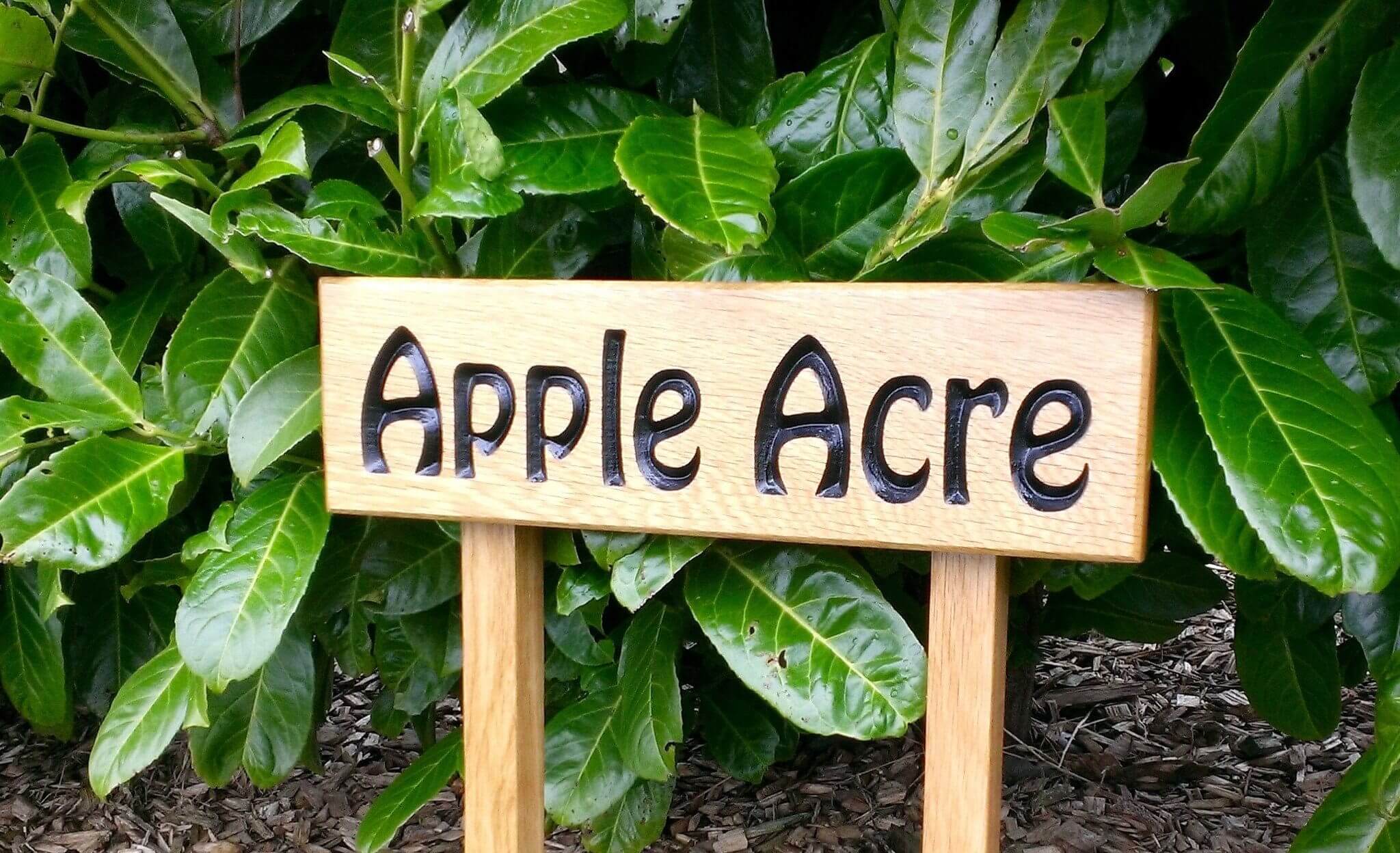 Ladder Sign - Extra Small - 380 x 110mm - Posts 28 x 28 x 450mm - Bramble Signs Engraved Wall Mounted & Freestanding Oak House Signs, Plaques, Nameplates and Wooden Gifts FONT: HOBO