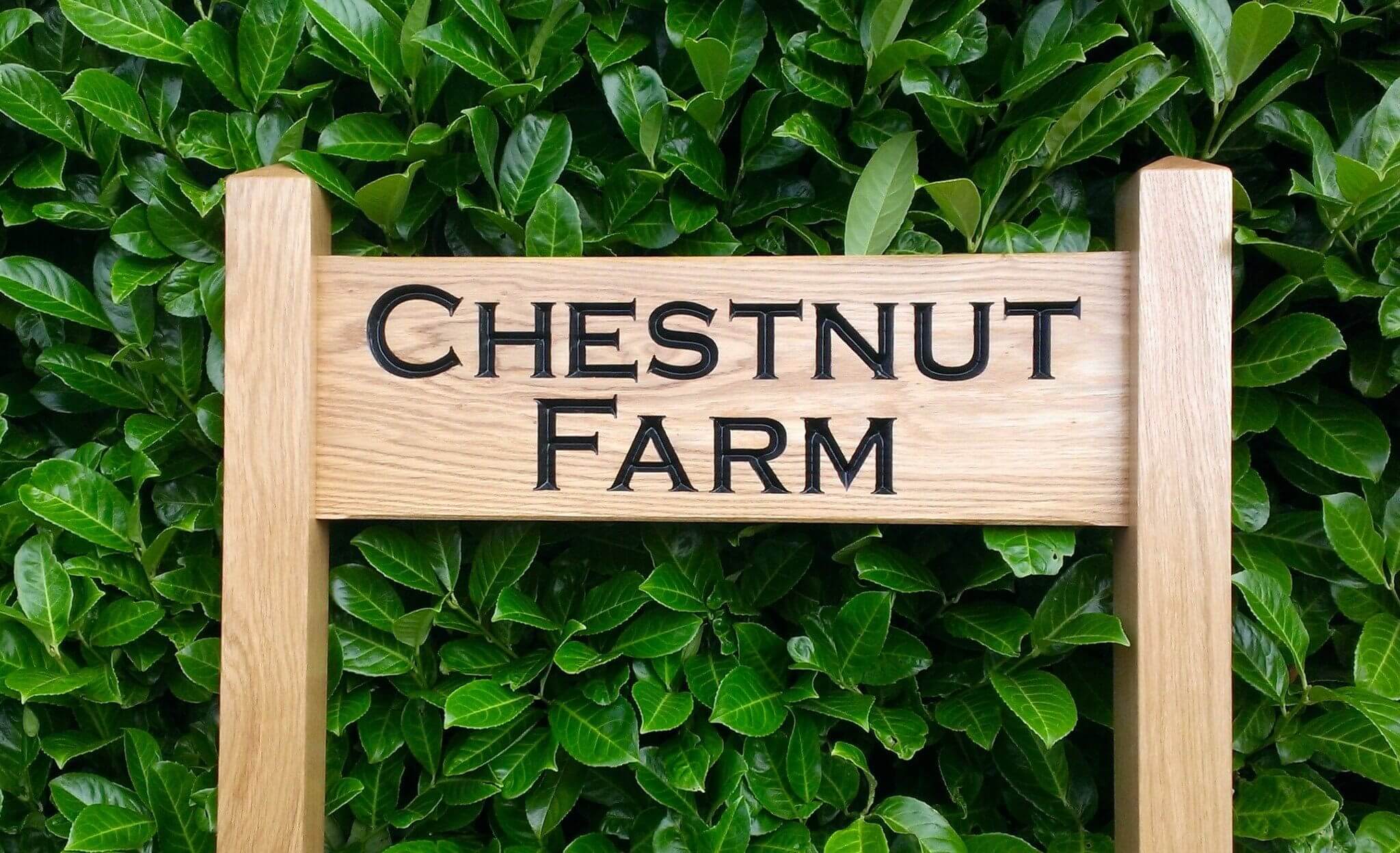 Ladder Sign - Large - 720 x 220mm - Posts 70 x 70 x 1520mm - Bramble Signs Engraved Wall Mounted & Freestanding Oak House Signs, Plaques, Nameplates and Wooden Gifts