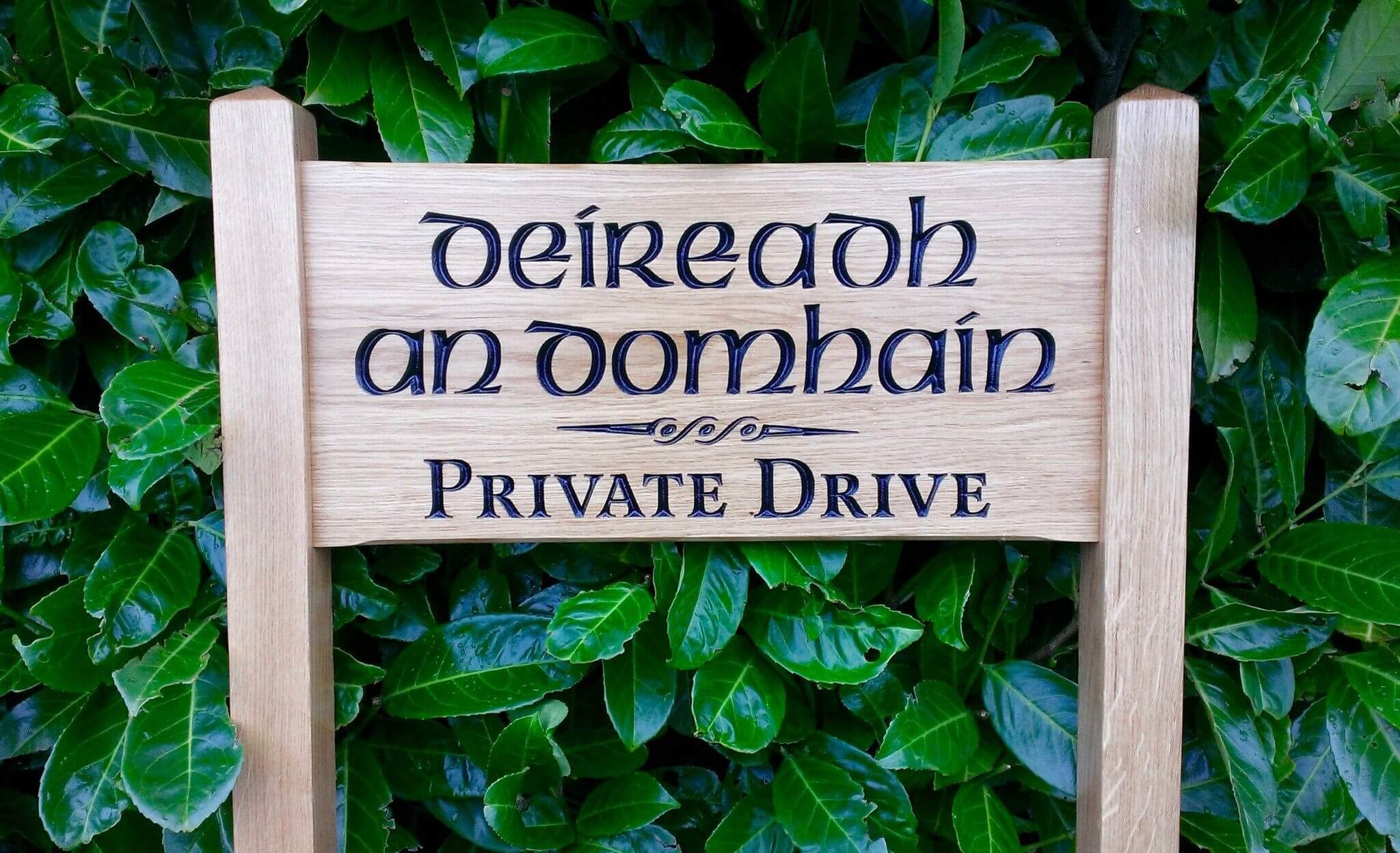 Medium Ladder Sign private drive