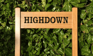 Highdown Inter-Medium Ladder Sign